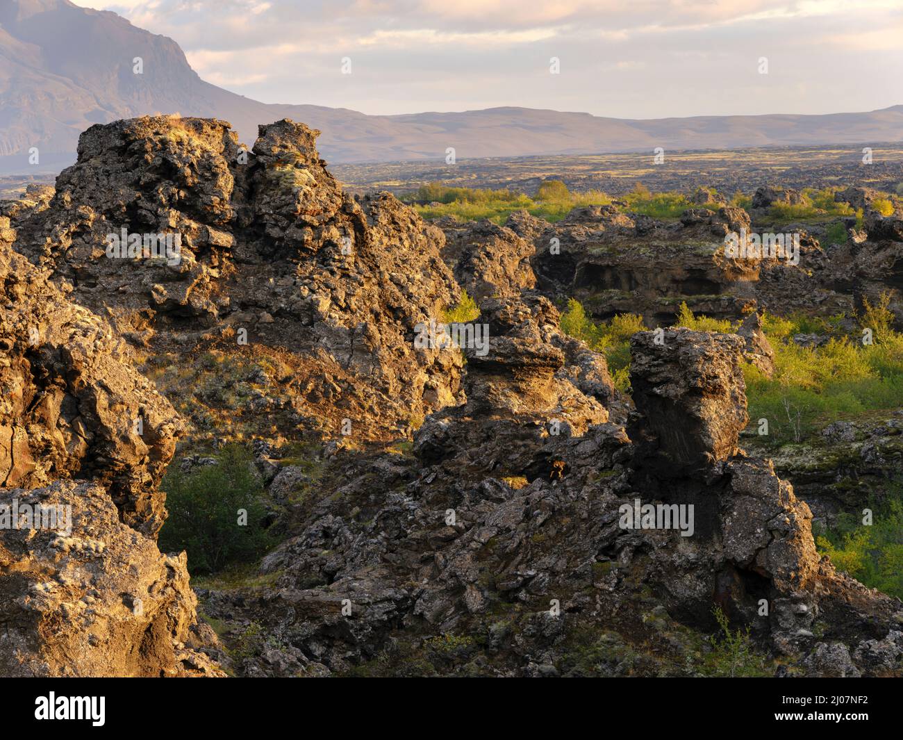 Dimmuborgir lava field, rock formations created by cooling of lava while flowing over wetlands and ponds. Landscape at lake Myvatn. Europe, Northern E Stock Photo