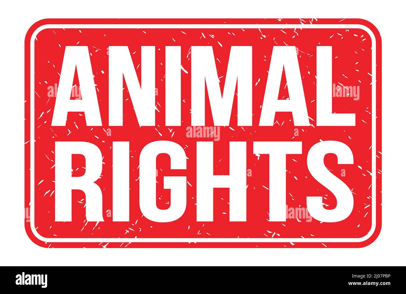 ANIMAL RIGHTS, words written on red rectangle stamp sign Stock Photo - Alamy