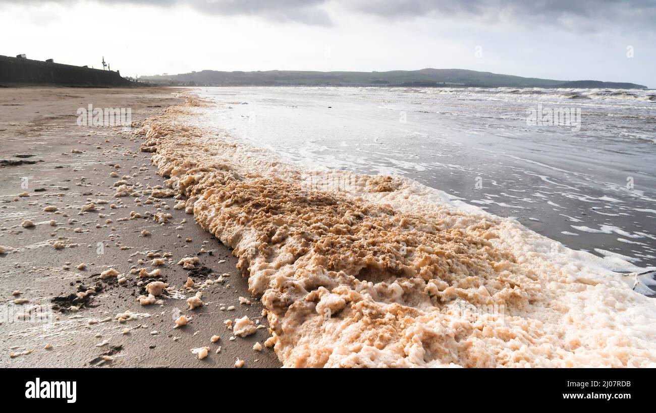 Washed up foam hi-res stock photography and images - Alamy