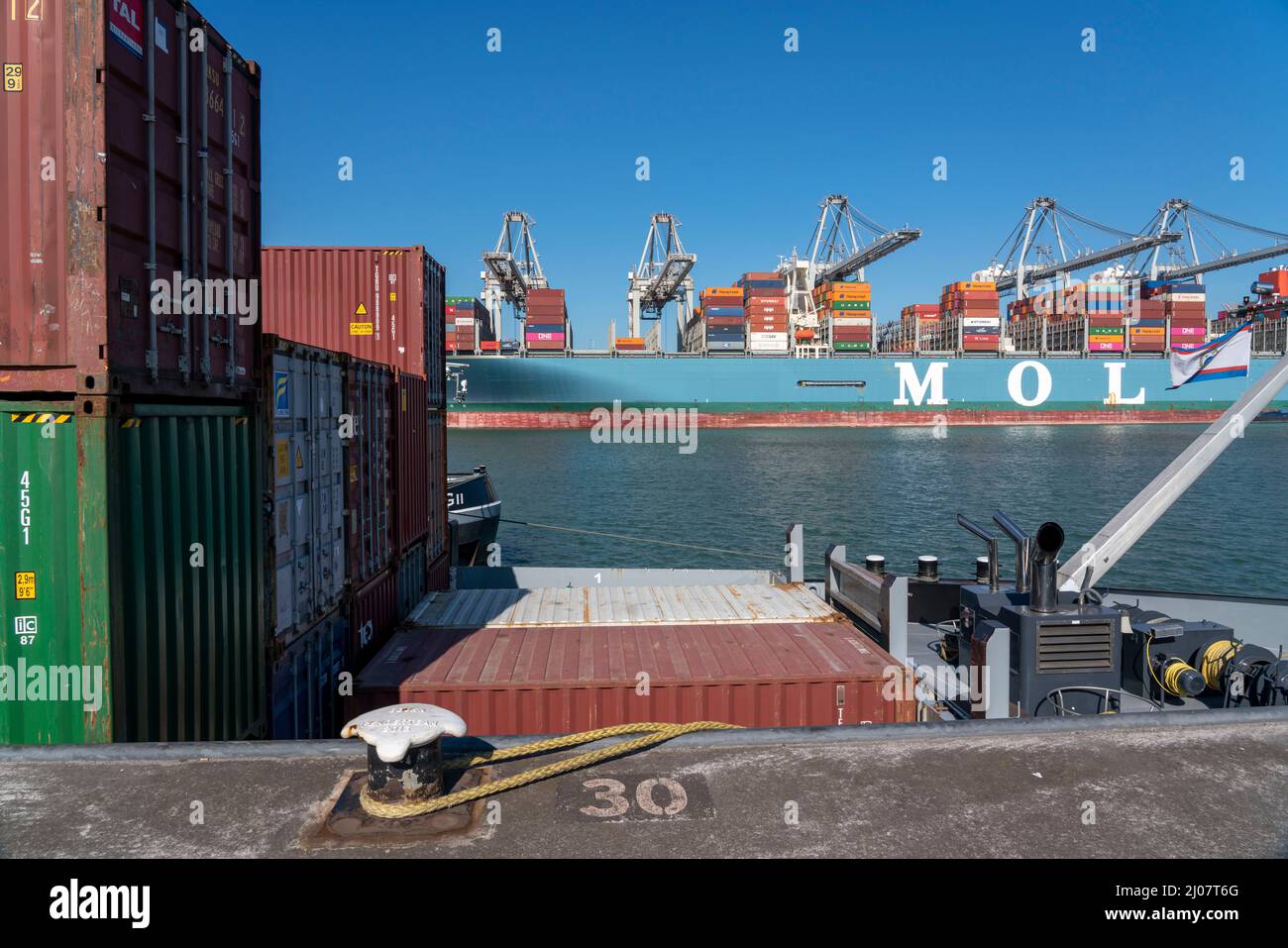 The seaport of Rotterdam, Maasvlakte, Hutchinson ECT Delta Terminal, Container Terminal, in the Amazonehaven, container freighter MOL Truth, of the sh Stock Photo