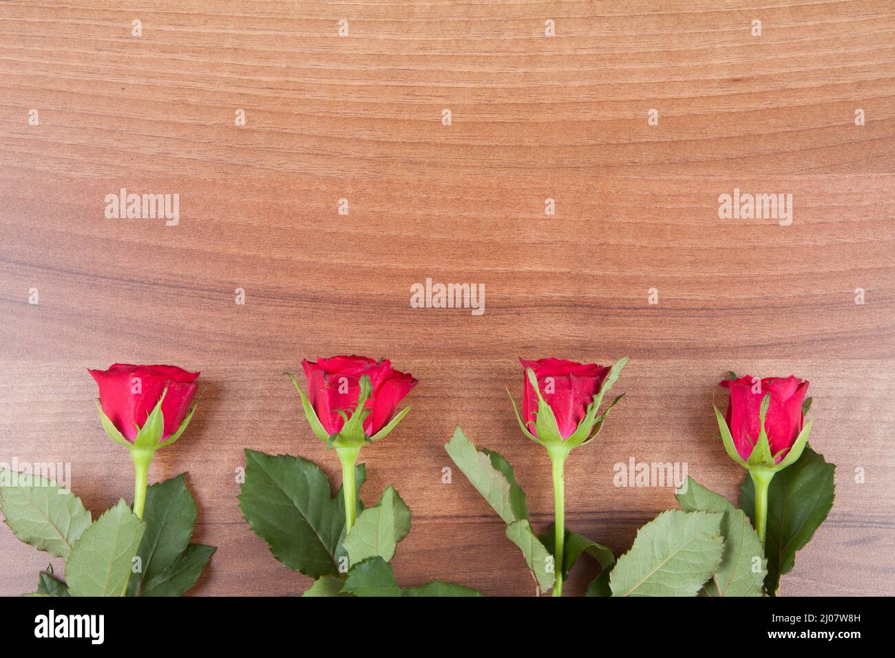 Four red roses hi-res stock photography and images - Alamy