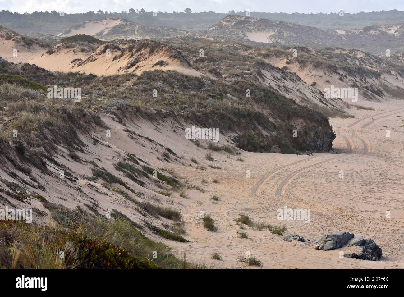Grassy sand dunes, Southwest Alentejo and Vicentine Coast Natural Park in the southwest of Portugal. Stock Photo