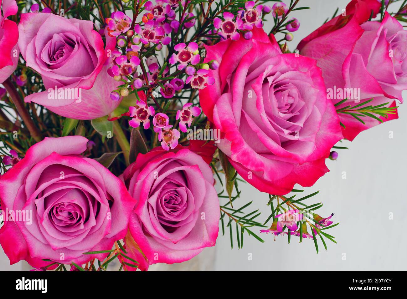 Large pink purple rose bouquet with wax flowers for Valentines Day