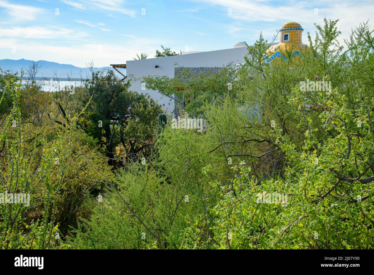Mexico,  Baja California Sur, El. Sargento, Rancho Sur, house, Stock Photo