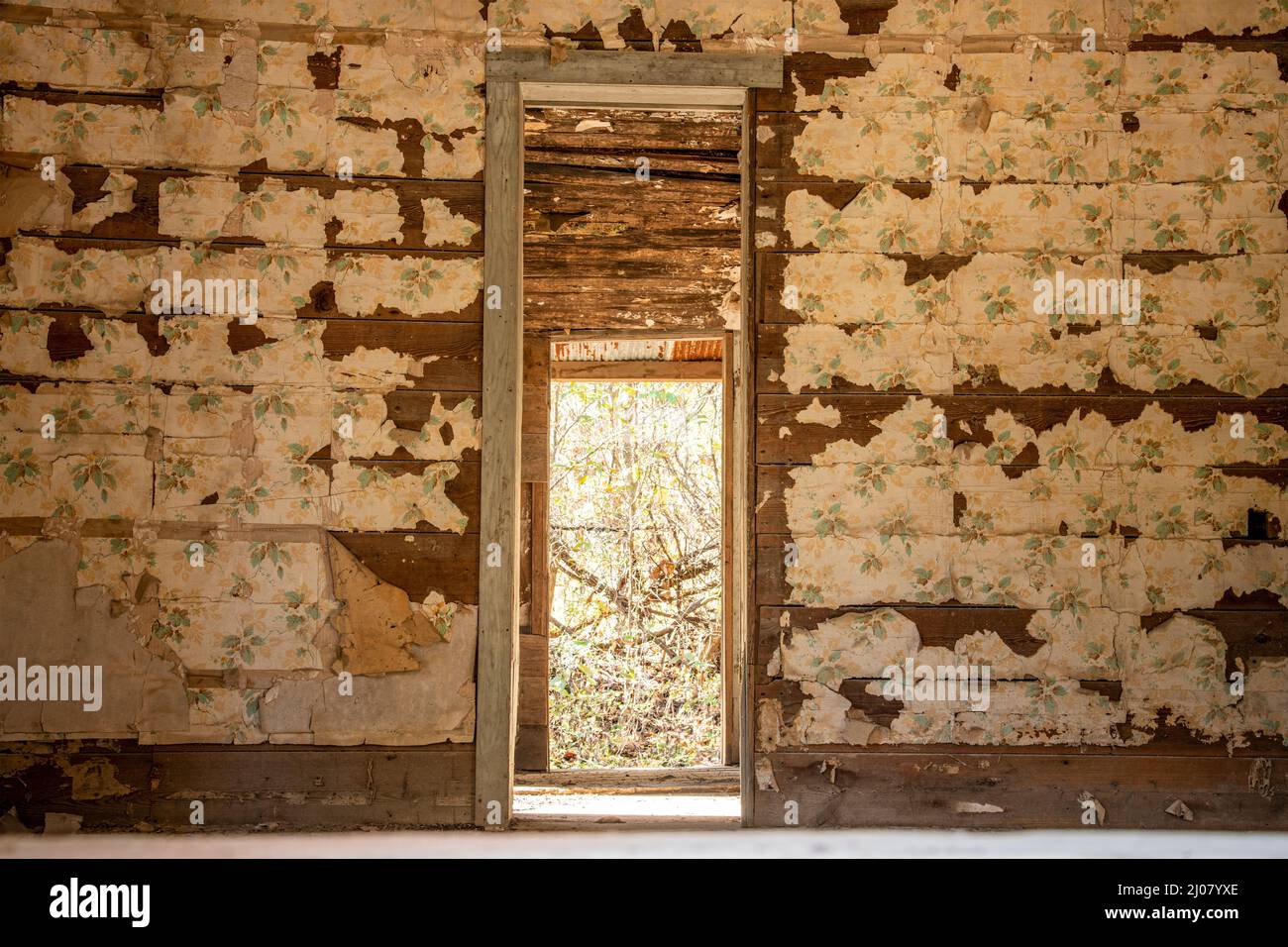 USA,South, Arkansas, Ozarks, Abandoned Homestead Stock Photo