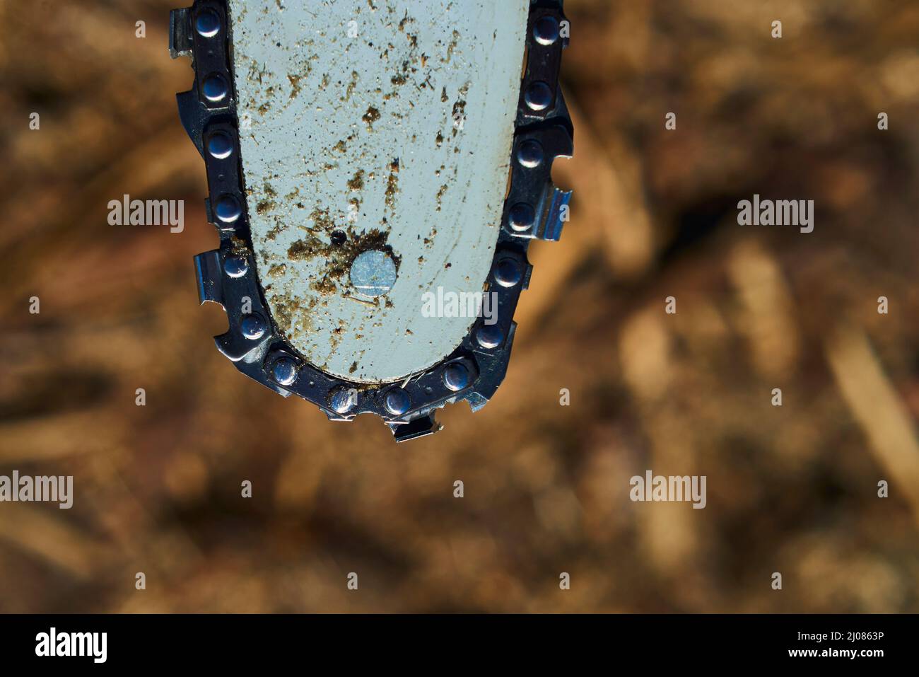 Detail of dirty used chainsaw chain for cutting wood. Selective focus