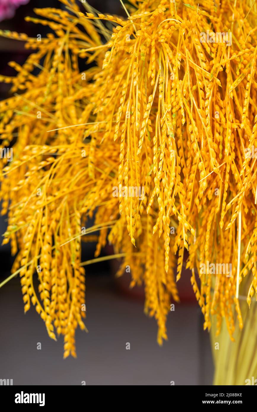 Golden fake rice ear decoration flower arrangement Stock Photo - Alamy