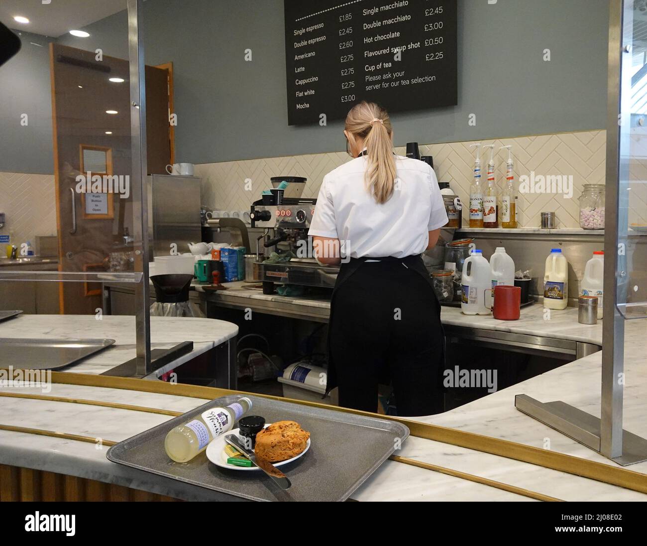 Barista preparing coffee in cafe setting Stock Photo