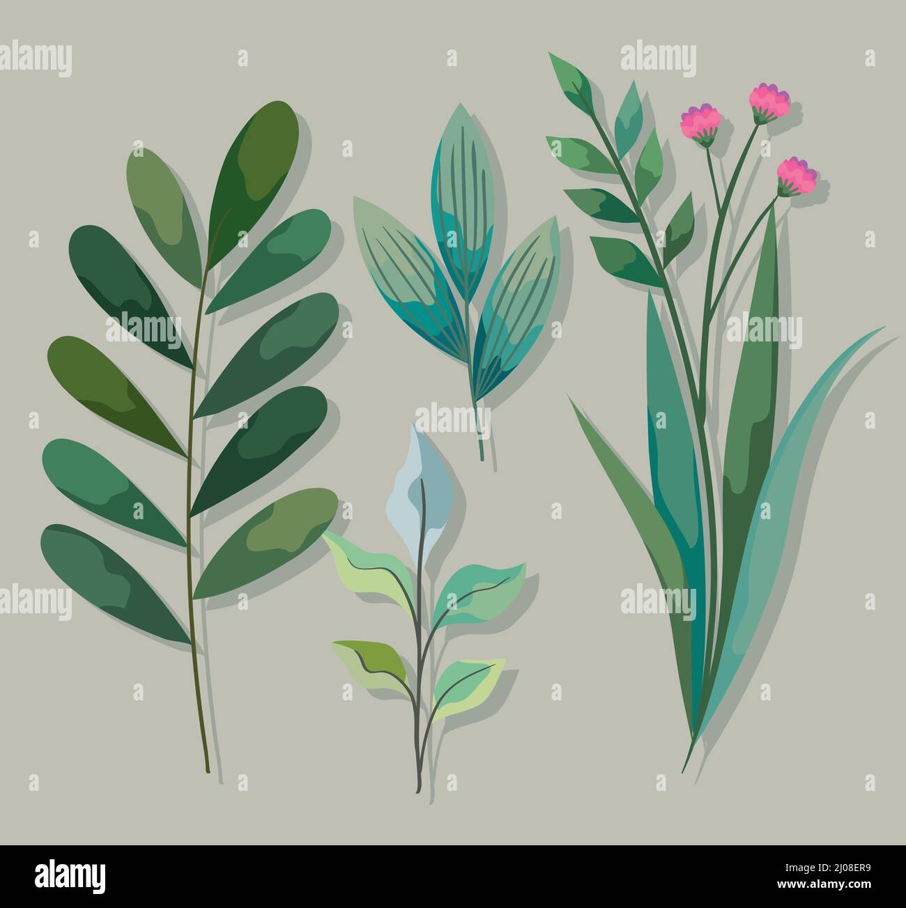 icons with branches green of forest Stock Vector Image & Art - Alamy