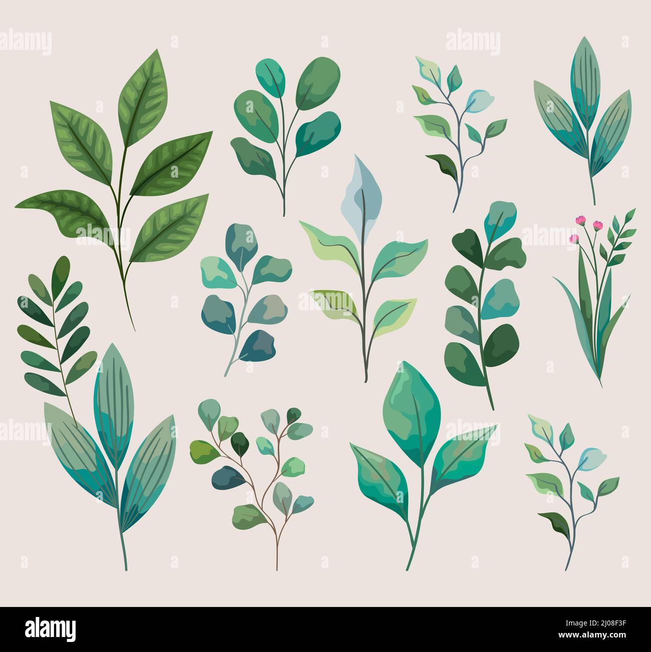 icons with natural foliage Stock Vector Image & Art - Alamy