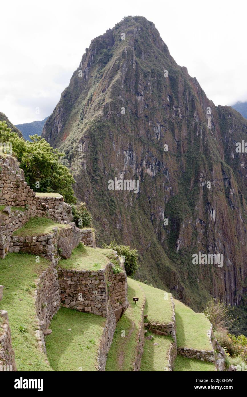 Inca archaeological site of Machu Picchu in the Andes Mountains, Peru ...