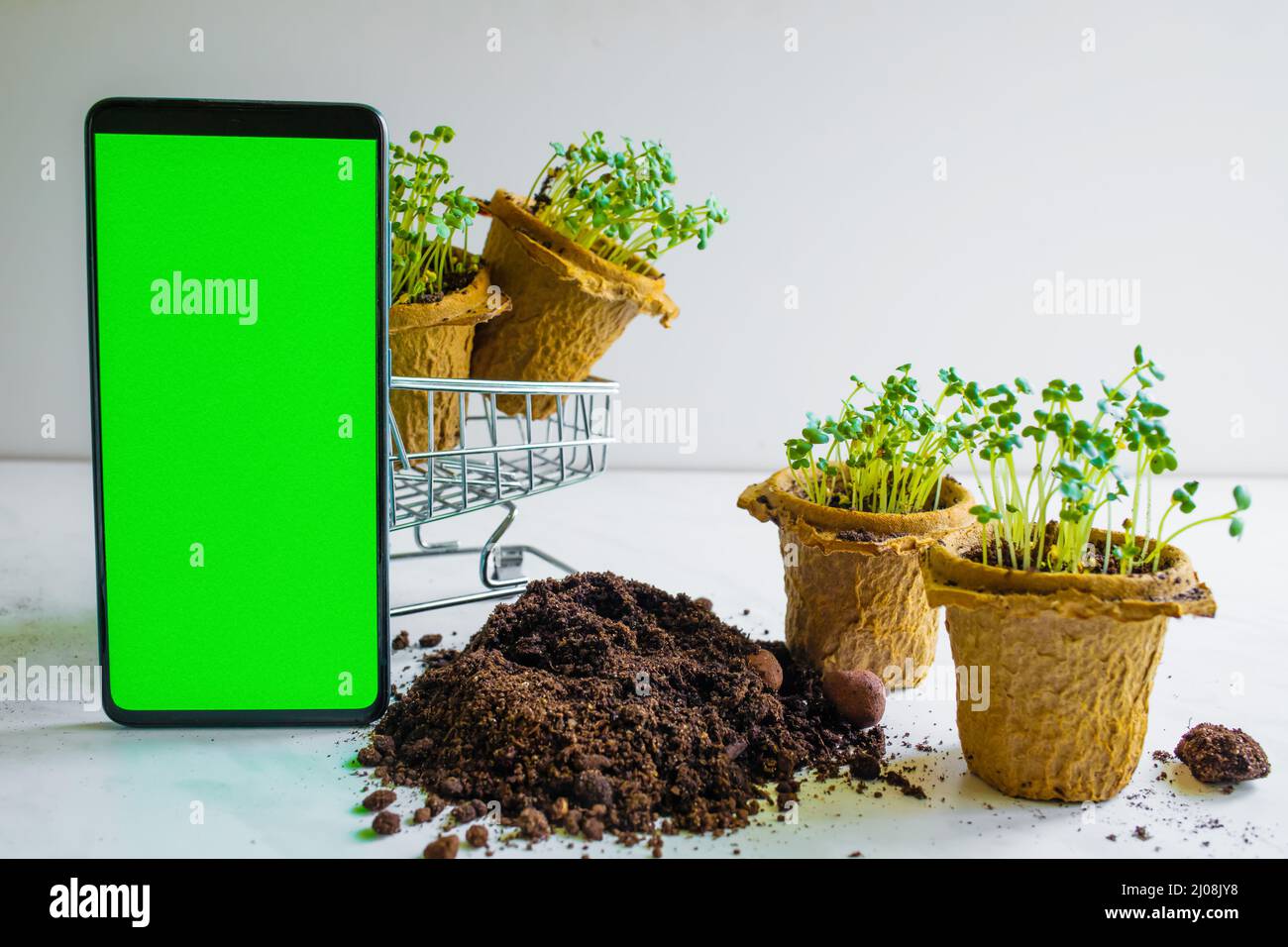 advertising platform for the sale of seedlings, seedlings. Hobby and leisure, agriculture concept Stock Photo