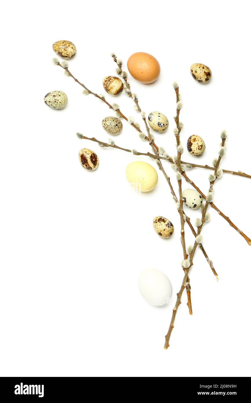 Quail Easter eggs and willow branches on white background Stock Photo ...