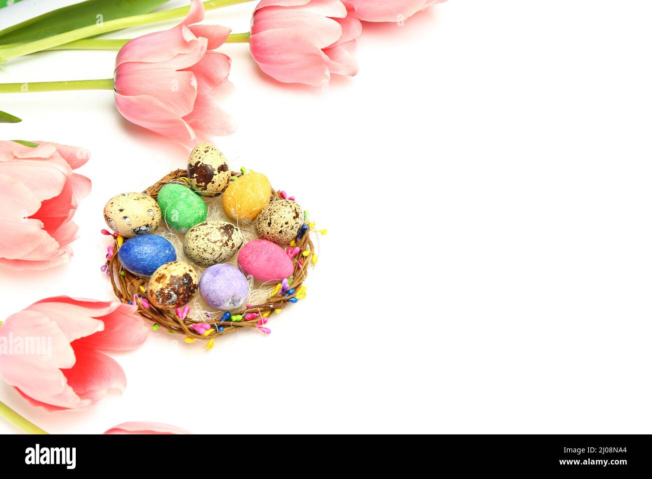 Nest with painted Easter eggs and tulip flowers on white background ...