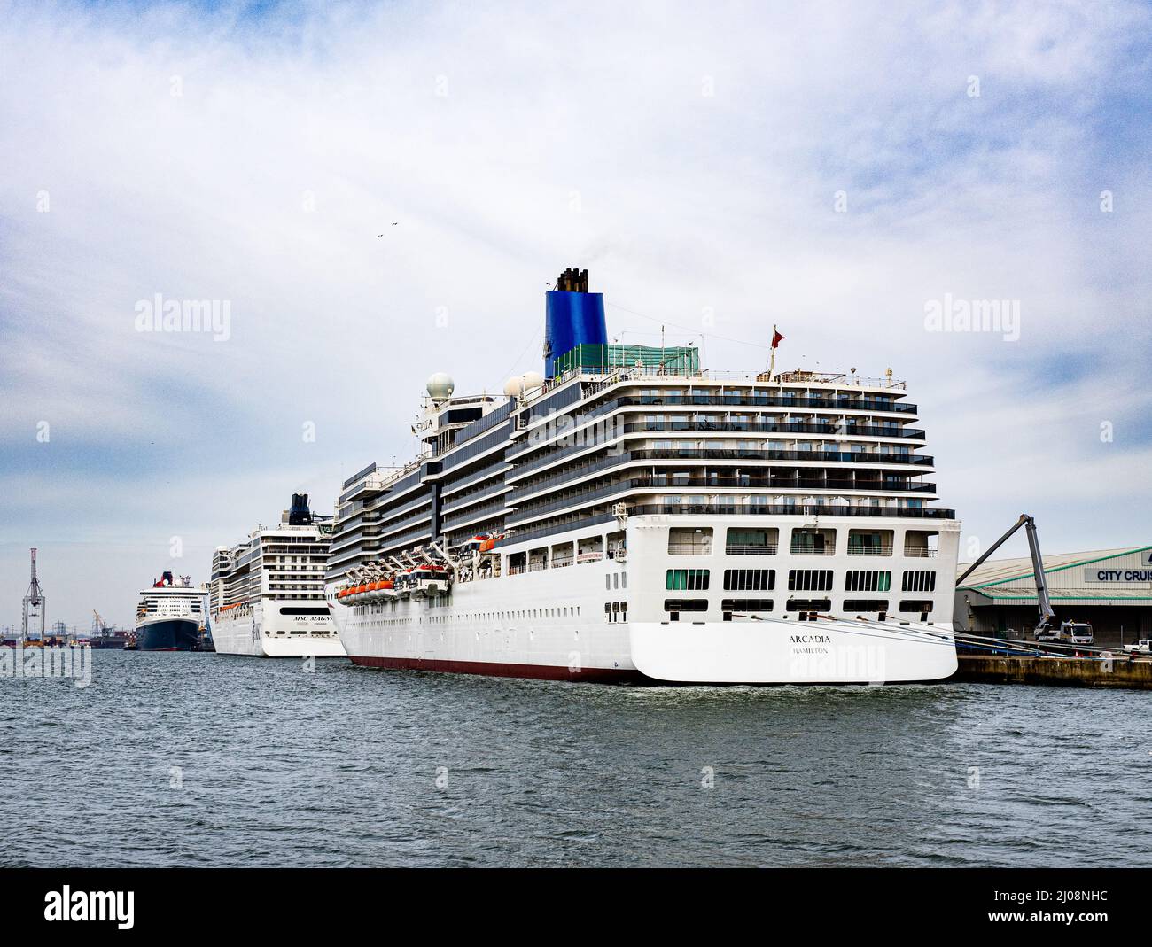 The 90,000 tonnes P&O cruise liner 'Arcadia' joins other cruise liners alongside in Southampton. Stock Photo