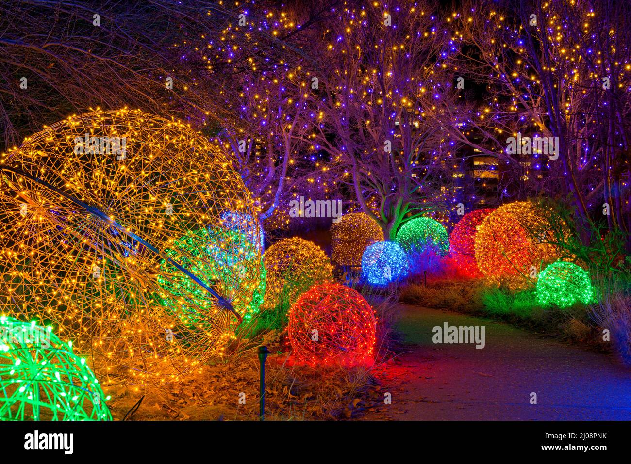 Path of Lights - A night view of a winding path lit by colorful lights at Denver Botanic Gardens during its holiday Blossoms of Light event. Co, USA. Stock Photo