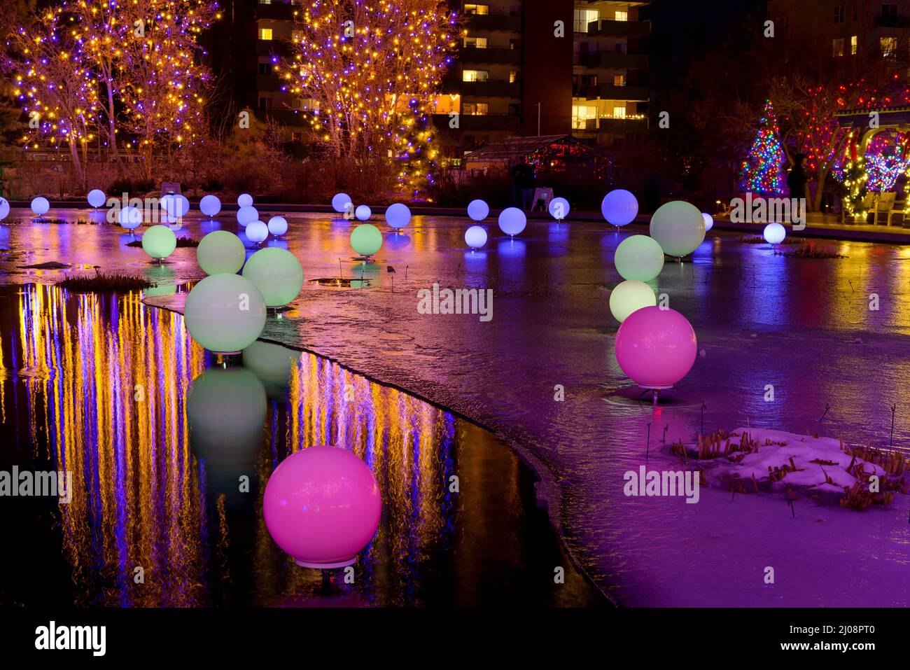 Lights in Pond - Wide-angle night view of colorful lights bright up a frozen pond in Denver Botanic Gardens during its holiday Blossoms of Light event. Stock Photo