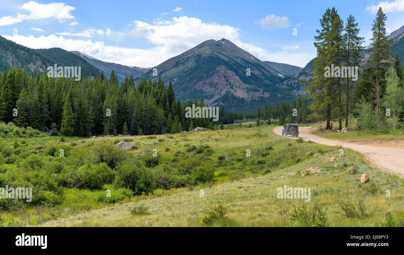 Backcountry Road - Remote Forest-Service-Road winding in a green valley towards high peaks of Continental Divide on a sunny Summer evening, Grant, CO. Stock Photo