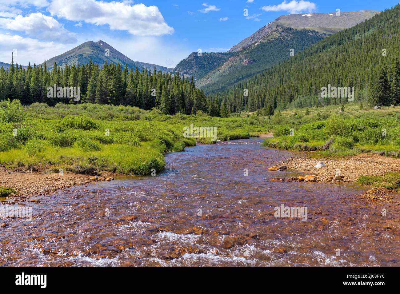 Summer Mountain Creek - Mineral-rich Geneva Creek running in a lush green valley at base of high peaks of Continental Divide, Grant, Colorado, USA. Stock Photo