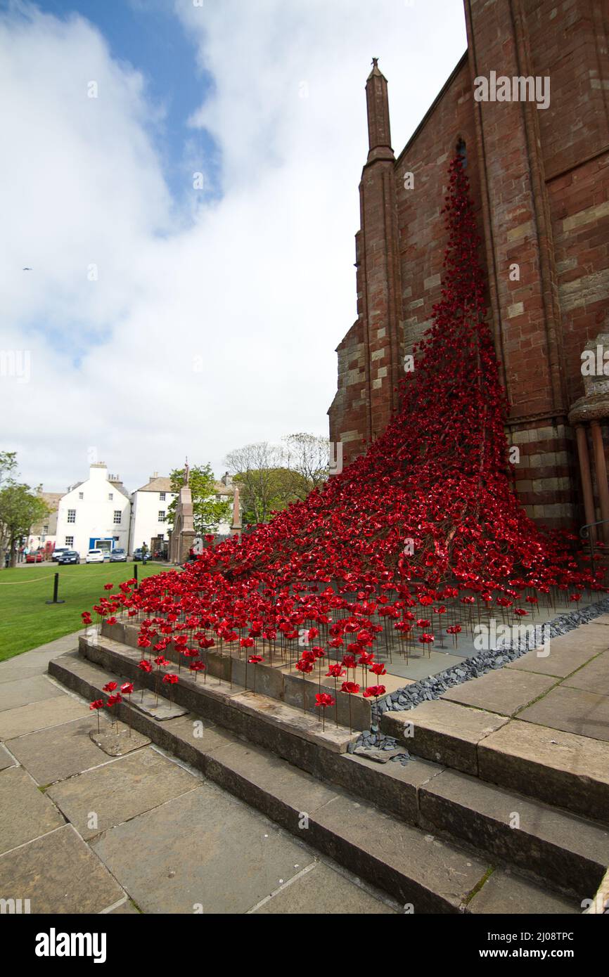 Red poppy memorial at St Magnus Cathedral Stock Photo