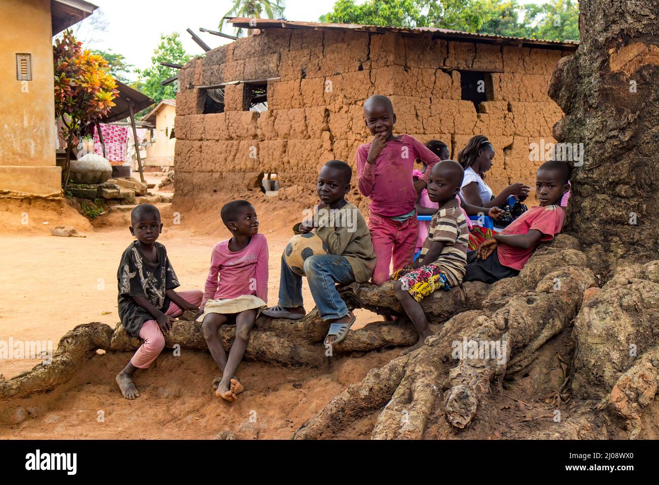 children gathering on a tree root in a village, Côte d'Ivoire Stock Photo