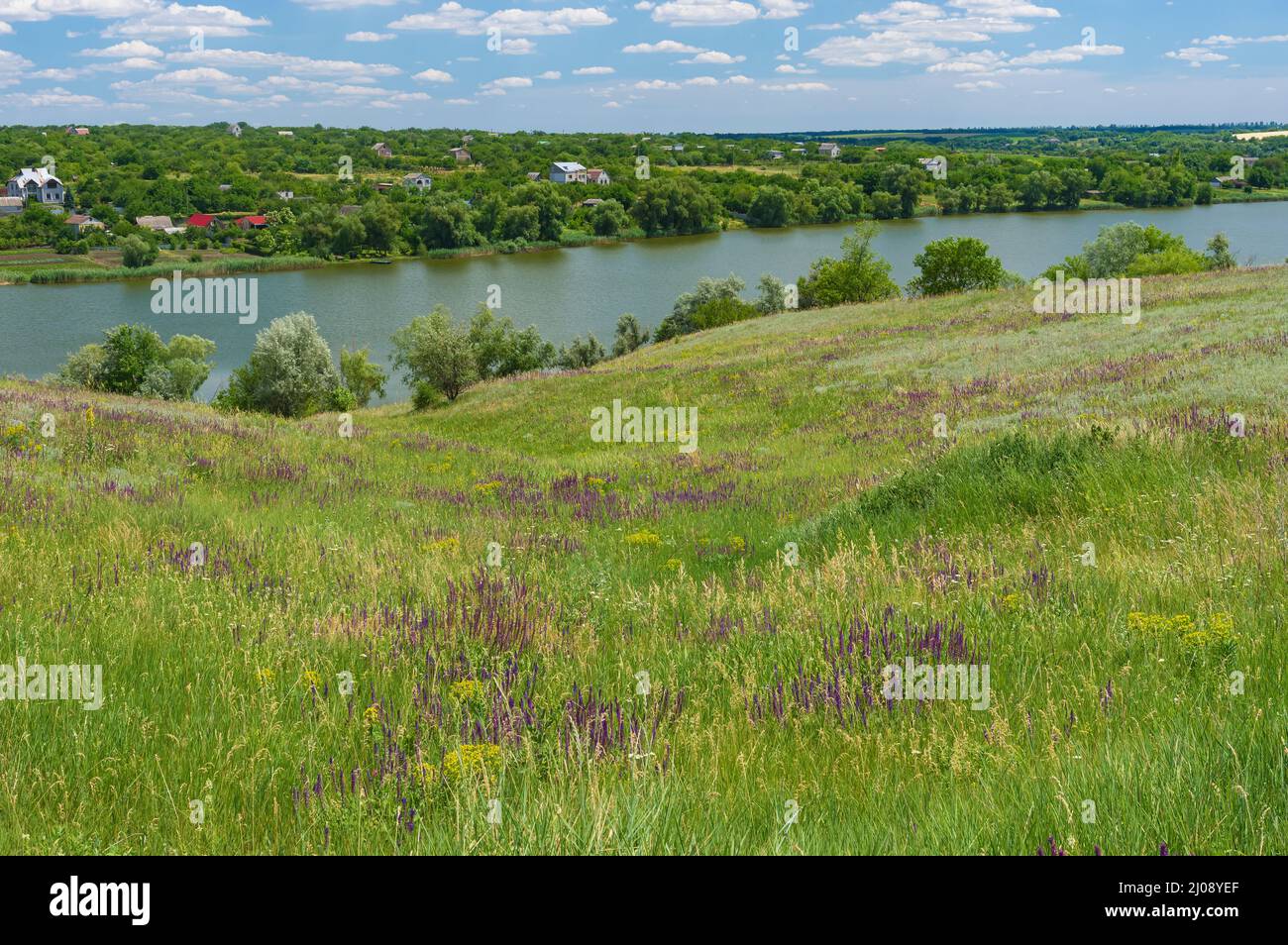 Beautiful summer  landscape with riverside, flowering meadow near small village Vasylivka, central Ukraine Stock Photo