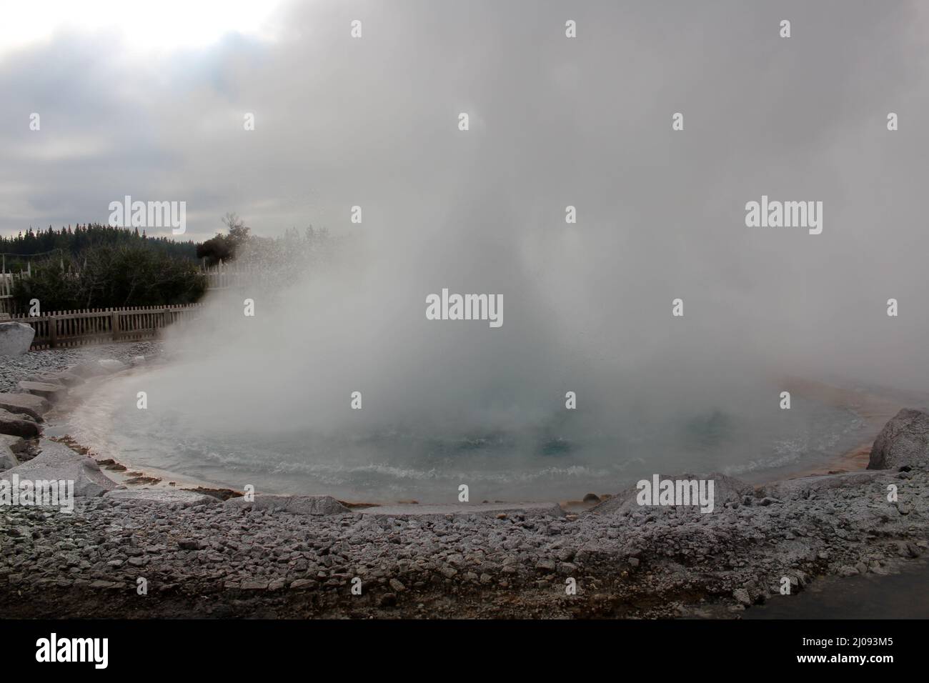 Geysers in the Wairakei Natural Thermal Valley on North Island, New