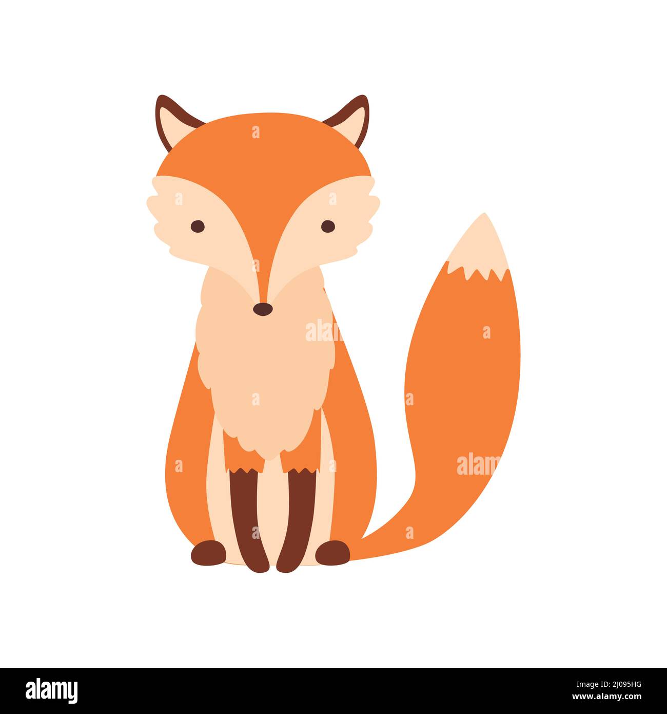 Sitting fox isolated on a white background, head in full face Stock ...