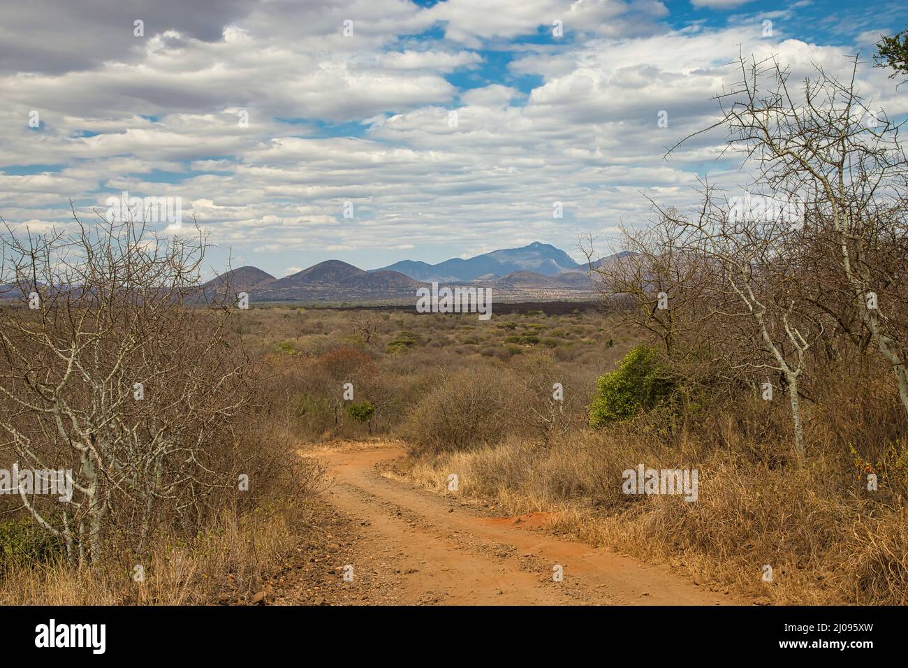 Landscape in Tsavo West National Park with a distant view of the Shetani lava flows. Stock Photo