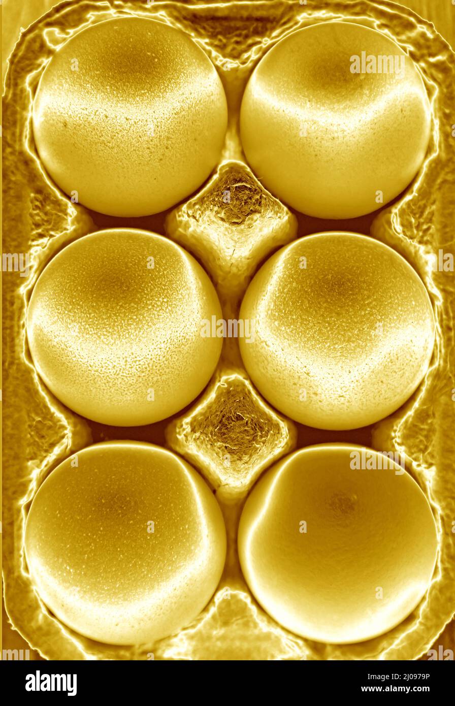 Pop Art Surreal Style Dull Gold Colored Chicken Eggs in a Carton Box ...