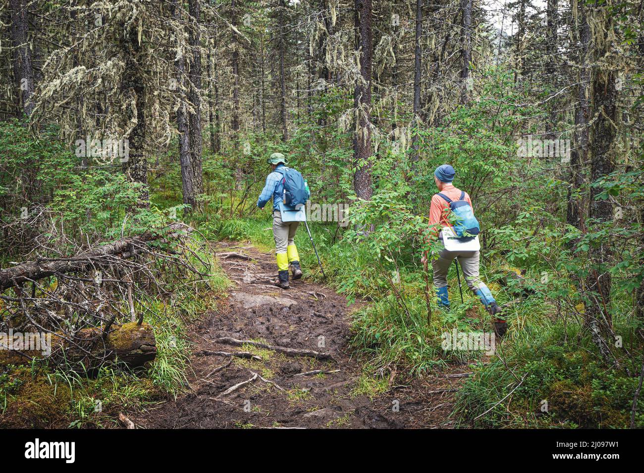 Hikers and tourists walk along a muddy trail soaked after heavy rain Stock Photo