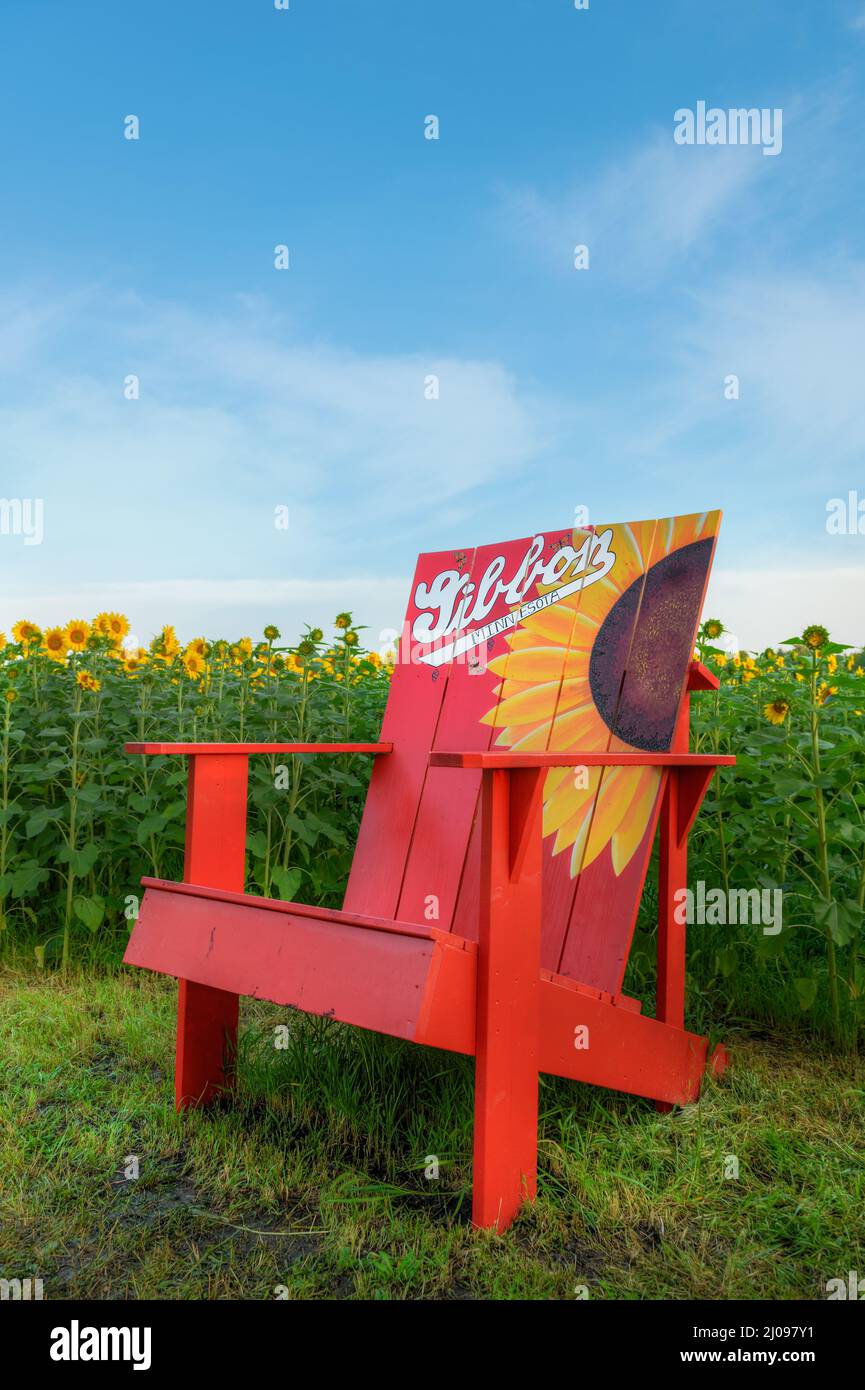 Giant Chair Next to Sunflower Field in Gibbon, Minnesota, USA Summer