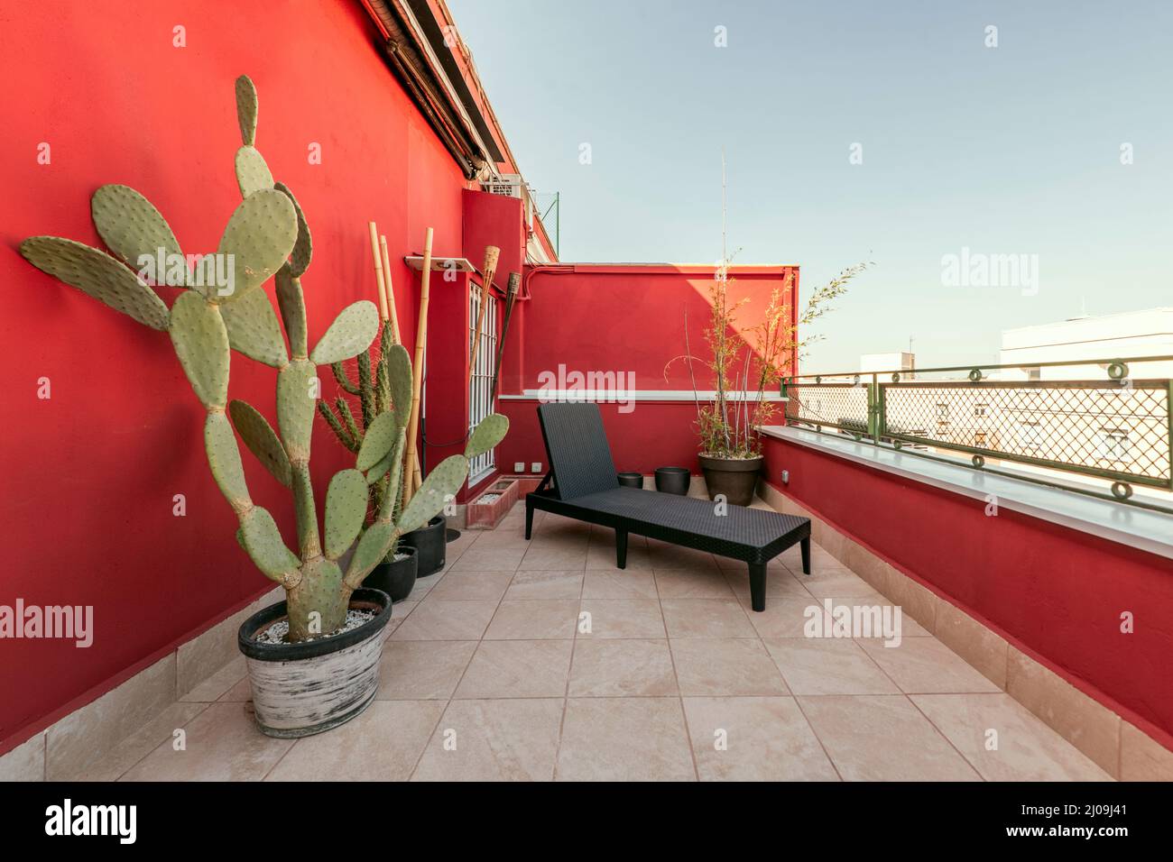 urban terrace of a penthouse residential house with plants and rattan furniture Stock Photo