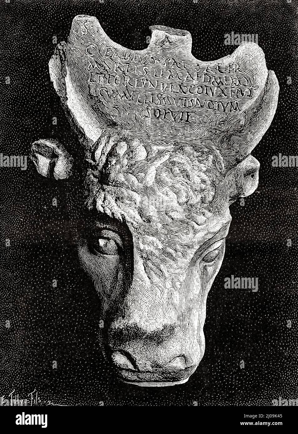 Votive bull to Saturn, found in the sanctuary of Jupiter Hammon. Archaeological Site of Carthage (Unesco World Heritage List, 1979), Tunisia. Old 19th century engraved illustration from La Nature 1899 Stock Photo