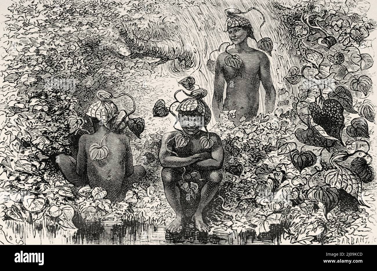 Children playing in the jungle with Aristolochia ringens flowers, Colombia. South America. Old 19th century engraved illustration from Journey to Colombia by Edward Francois Andre, Le Tour du Monde 1877 Stock Photo