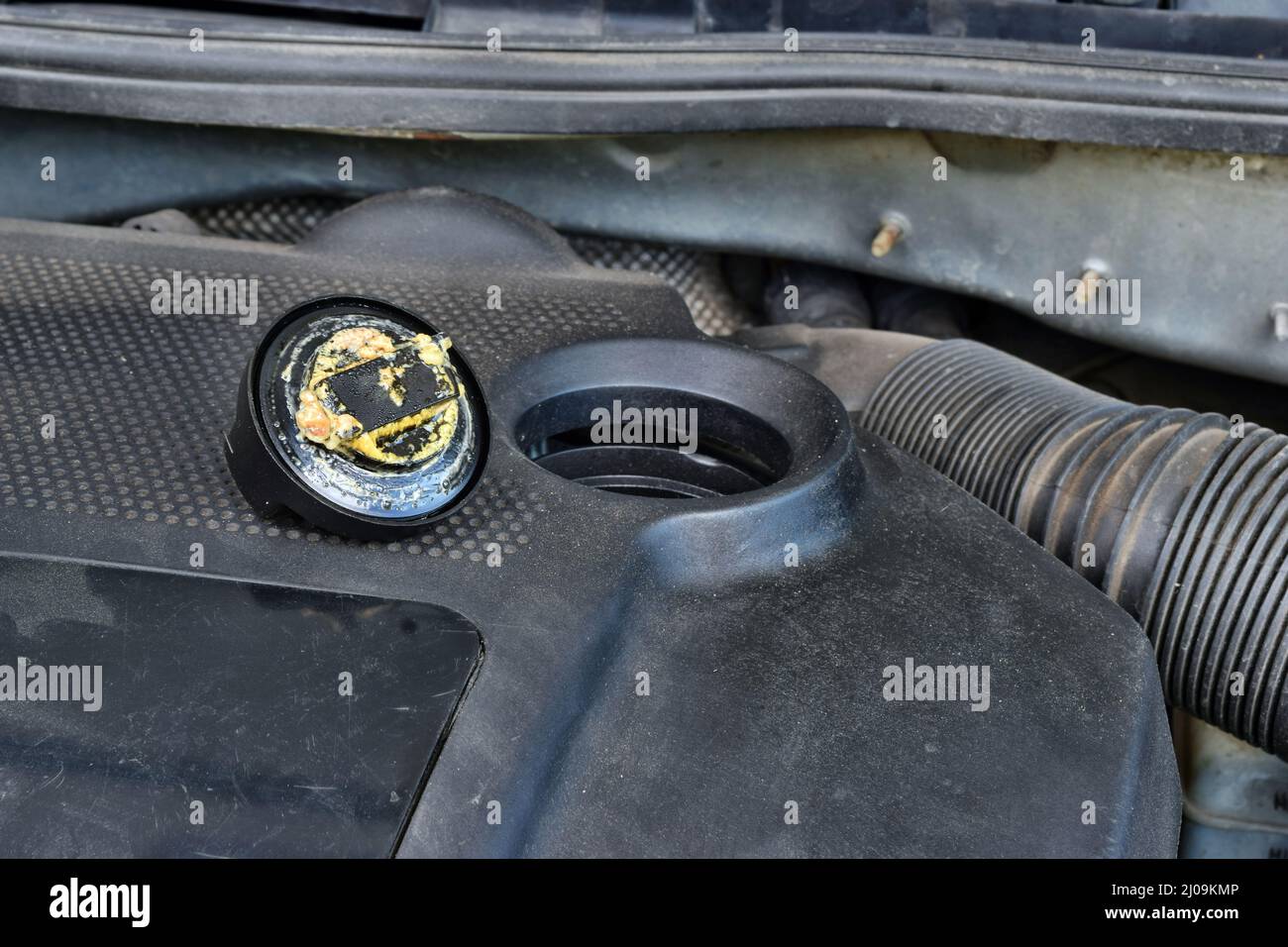 The thick, greasy yellow motor oil under oil cap as signs and symptom