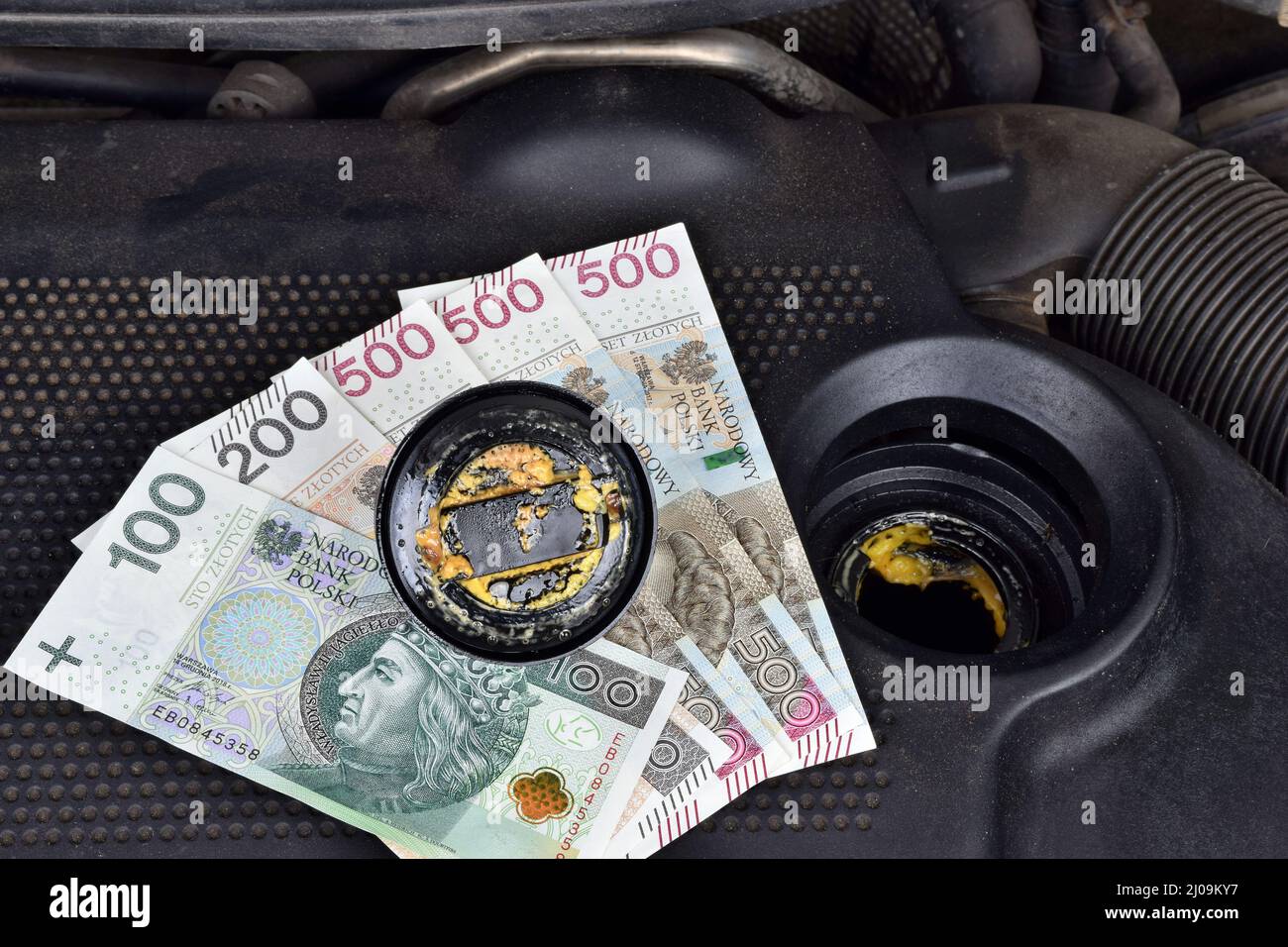 Polish money currency and the thick, greasy yellow motor oil under oil