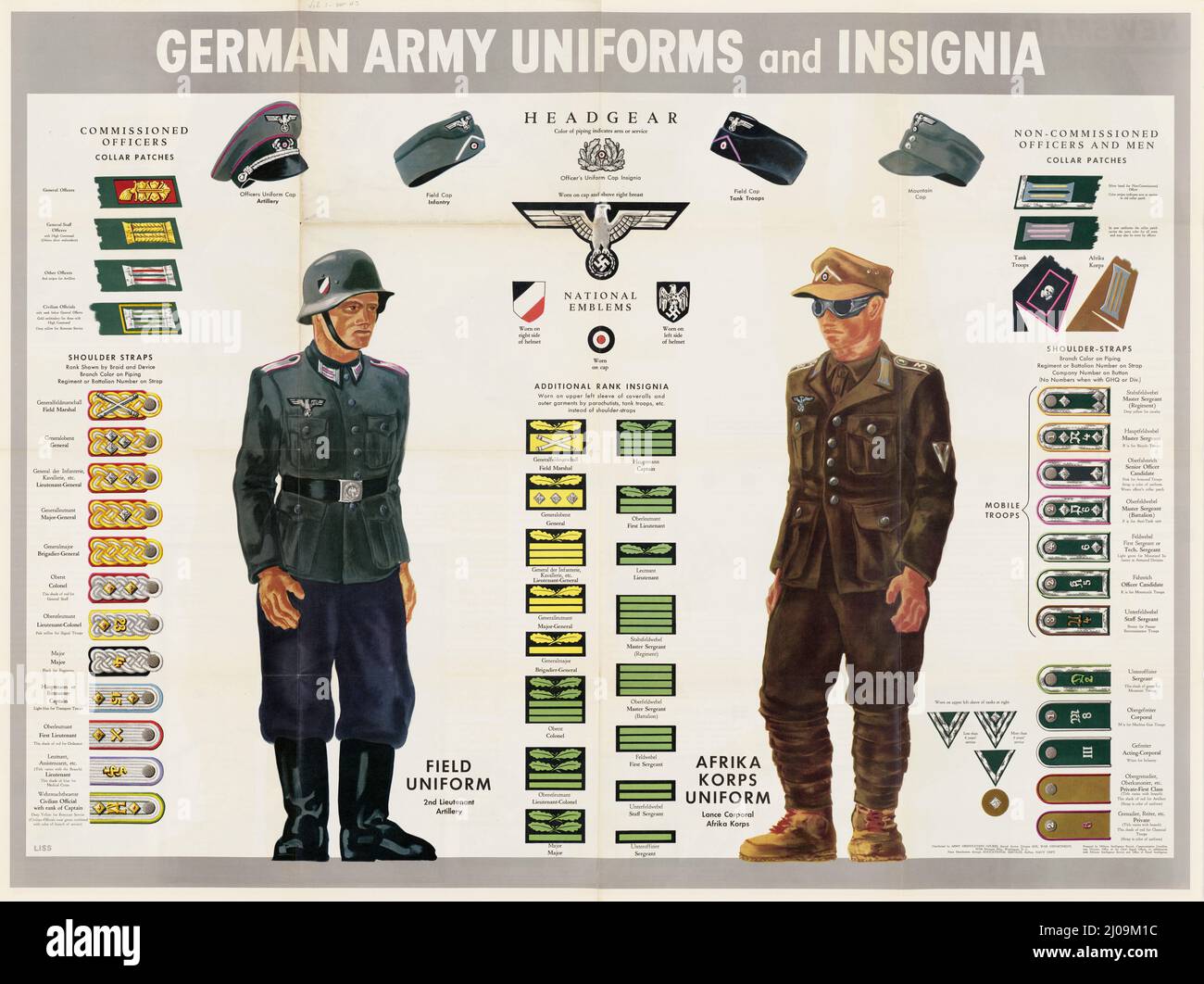 WW2 German Army Uniforms Rank, insignia, National emblems, Headgear, Field, Afrika Korps, Collar pathces, Shoulder-straps Stock Photo