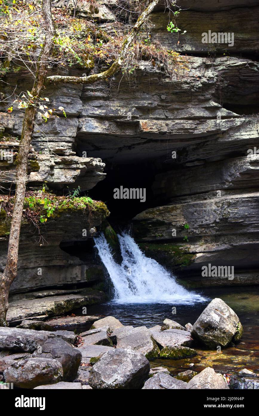 Blanchard Springs Waterfall gushes out of a rocky cave and spills over ...