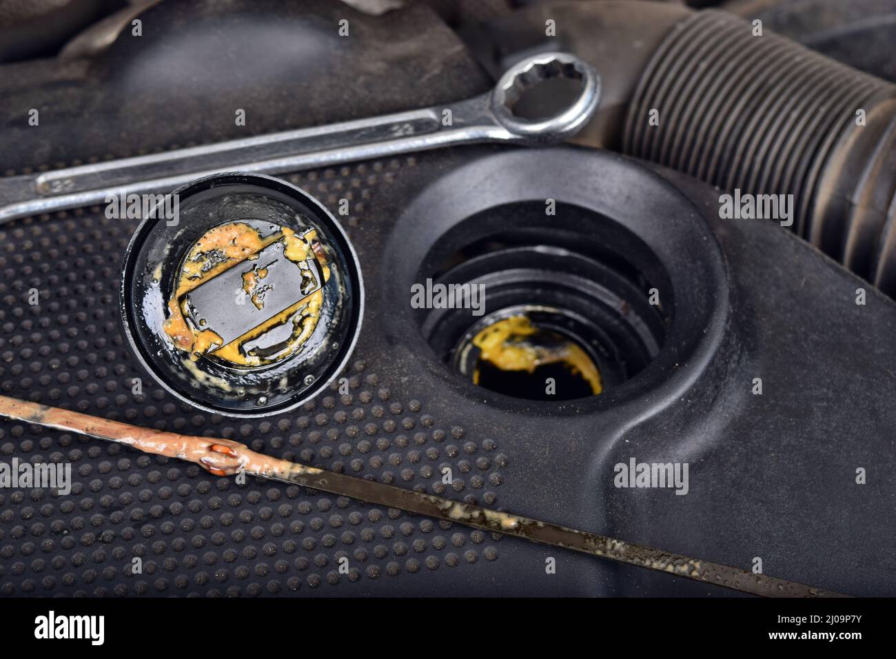 The thick, greasy yellow motor oil under oil cap as signs and symptom