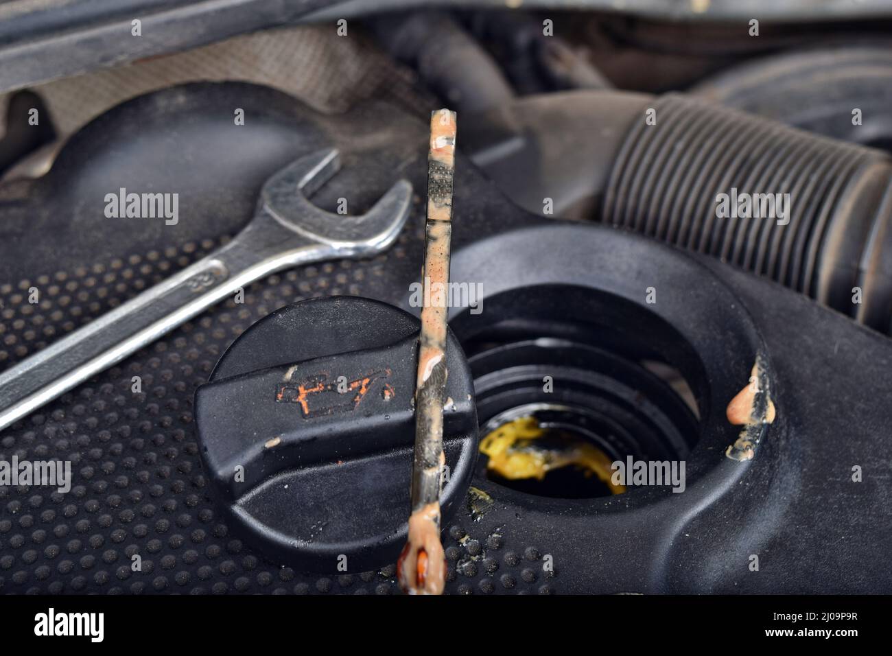 The thick, greasy yellow motor oil under oil cap as signs and symptom