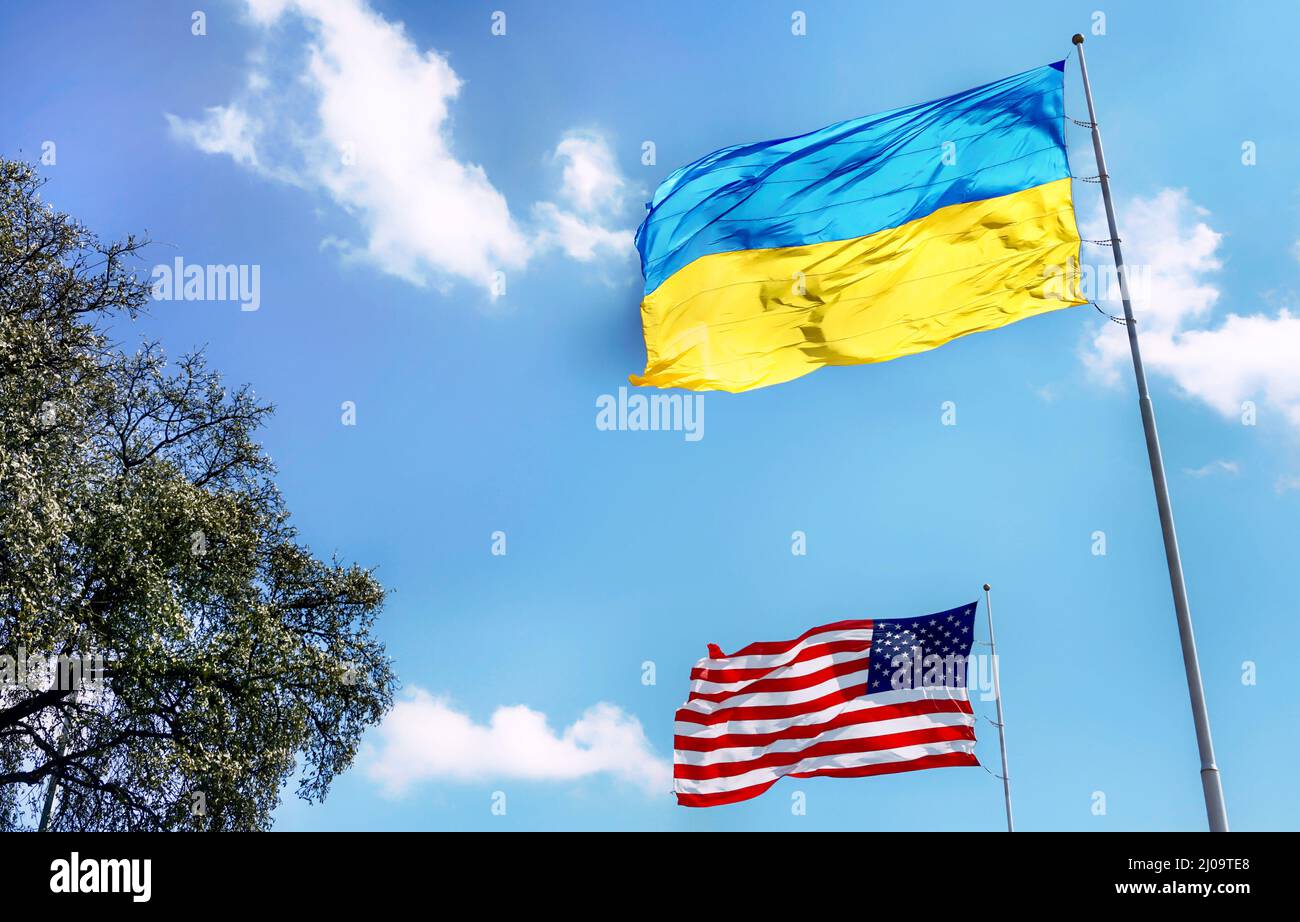 Ukraine and American flag flying togeather with pride. Stock Photo