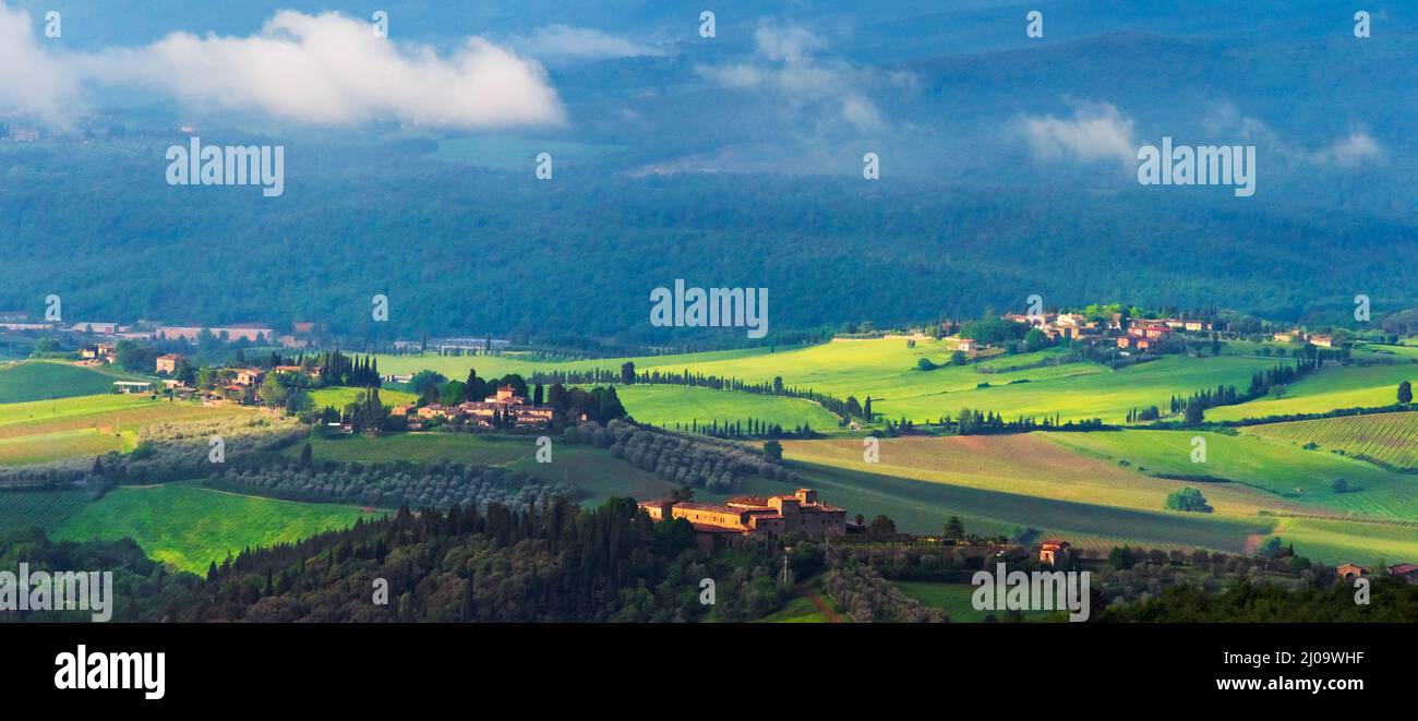Village with vineyard in morning mist, Chianti, Tuscany Region, Italy Stock Photo