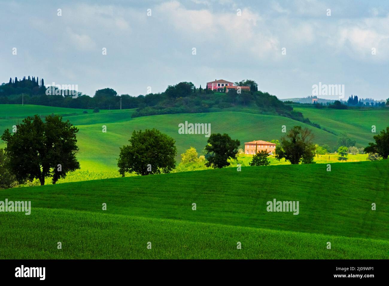 Village house on the meadow, Siena Province, Tuscany Region, Italy Stock Photo