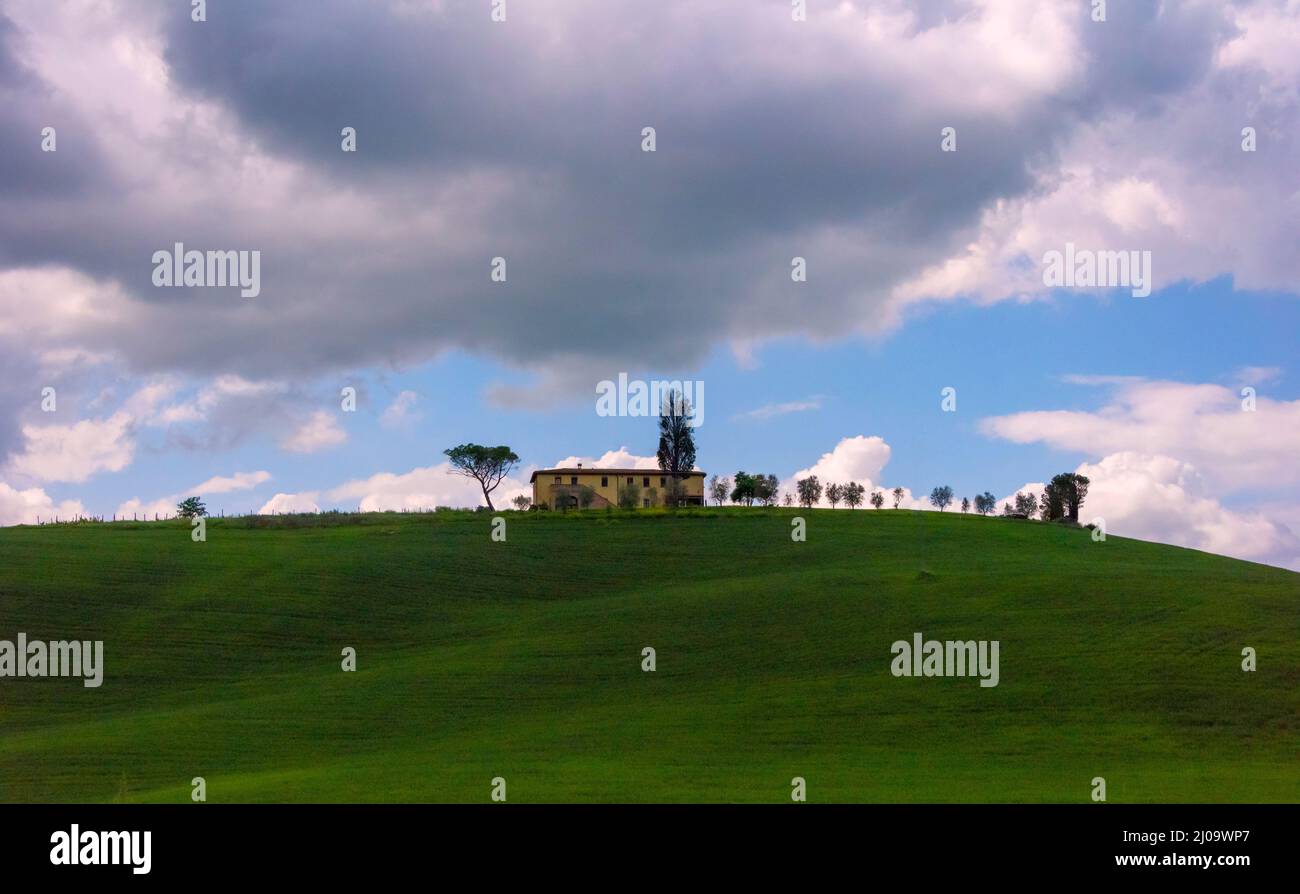 Village house and cypress trees on the meadow, Siena Province, Tuscany Region, Italy Stock Photo