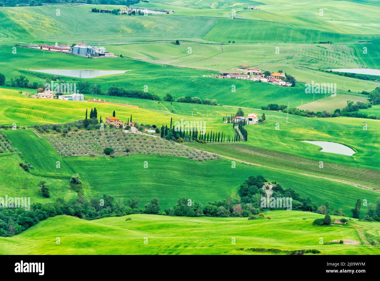 Village house on the meadow, Val d'Orcia, Siena Province, Tuscany Region, Italy Stock Photo