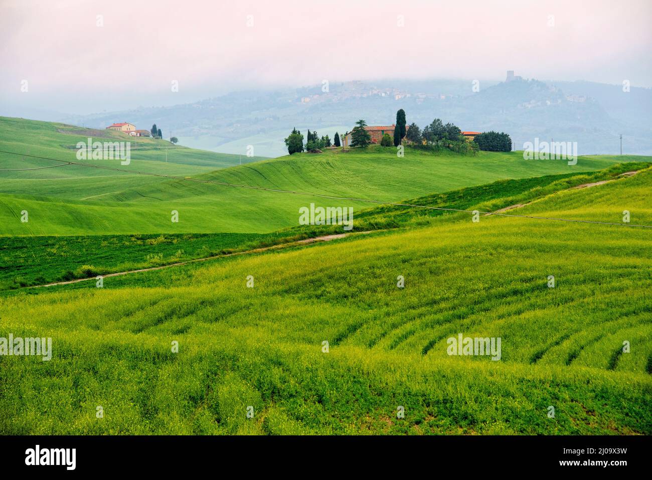 Village house on the meadow in morning mist, Val d'Orcia, Siena Province, Tuscany Region, Italy Stock Photo