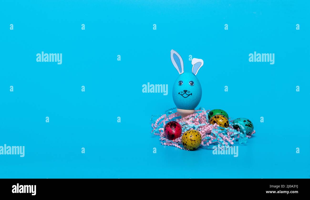 blue Easter egg with ears and colored quail eggs Stock Photo