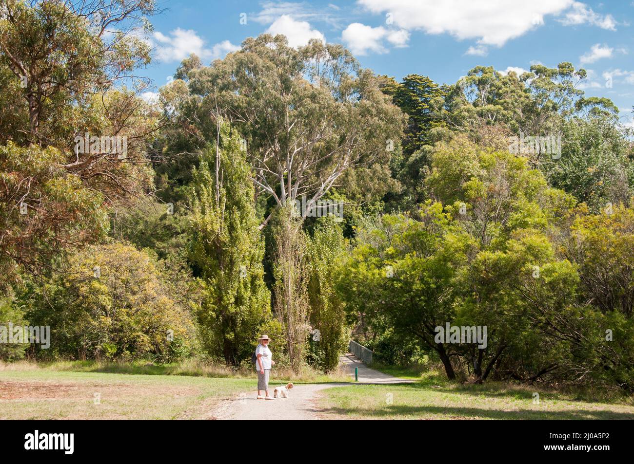 Opened in 1917, Melbourne's Wattle Park is a 55-hectare parkland at the terminus of an east suburban tram line. Stock Photo