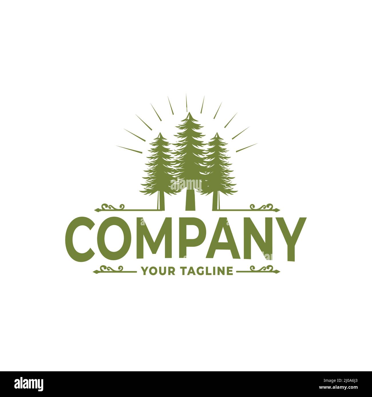 Vintage Retro Rustic Logo Design Green pine tree, smart Stock Vector